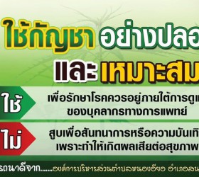 ใช้กัญชาอย่างปลอดภัยและเหมาะสม