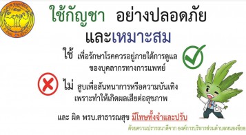 การใช้กัญชาอย่างปลอดภัยและเหมาะสม